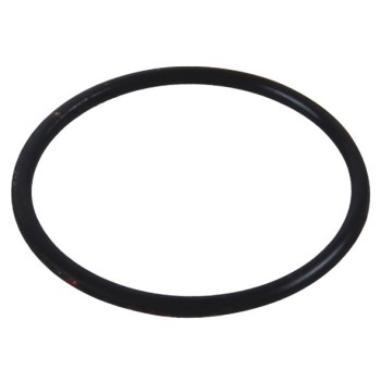 O Ring, Hub Cap, Nylon - BPW New Gen